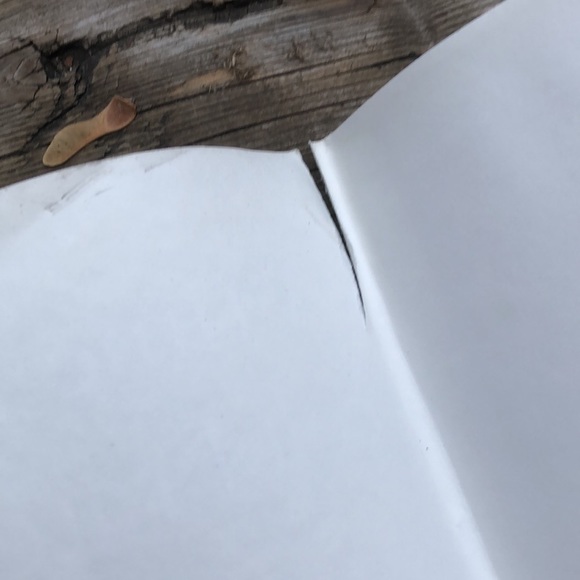 🎄 2001 Holiday Inspirations - Better Home and Garden - Coffee Table Book - Picture 12 of 13